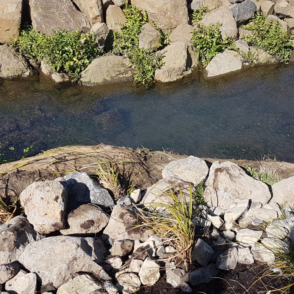 Stream Restoration, Auckland