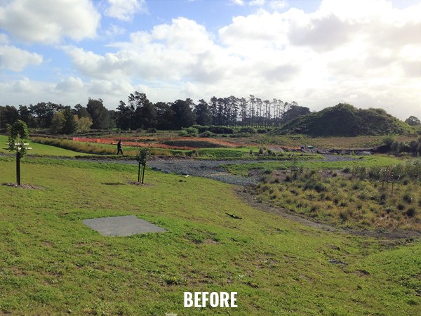 Whenuapai 1 Precinct Development