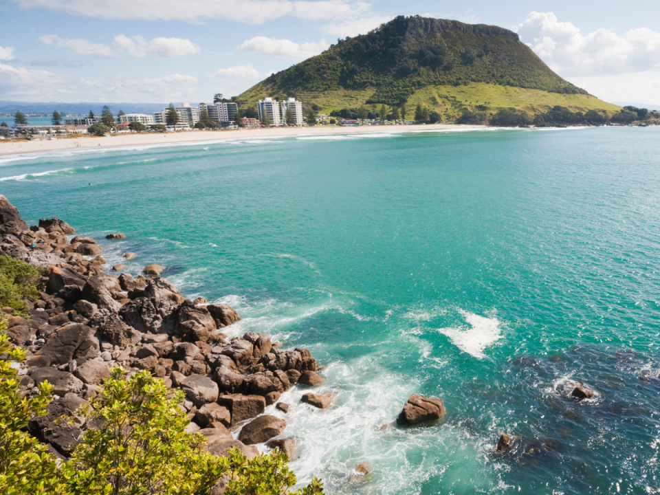 Property Council Q&A event in Bay of Plenty