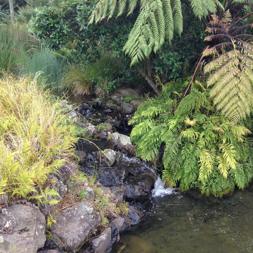 Botanic Gardens, Auckland