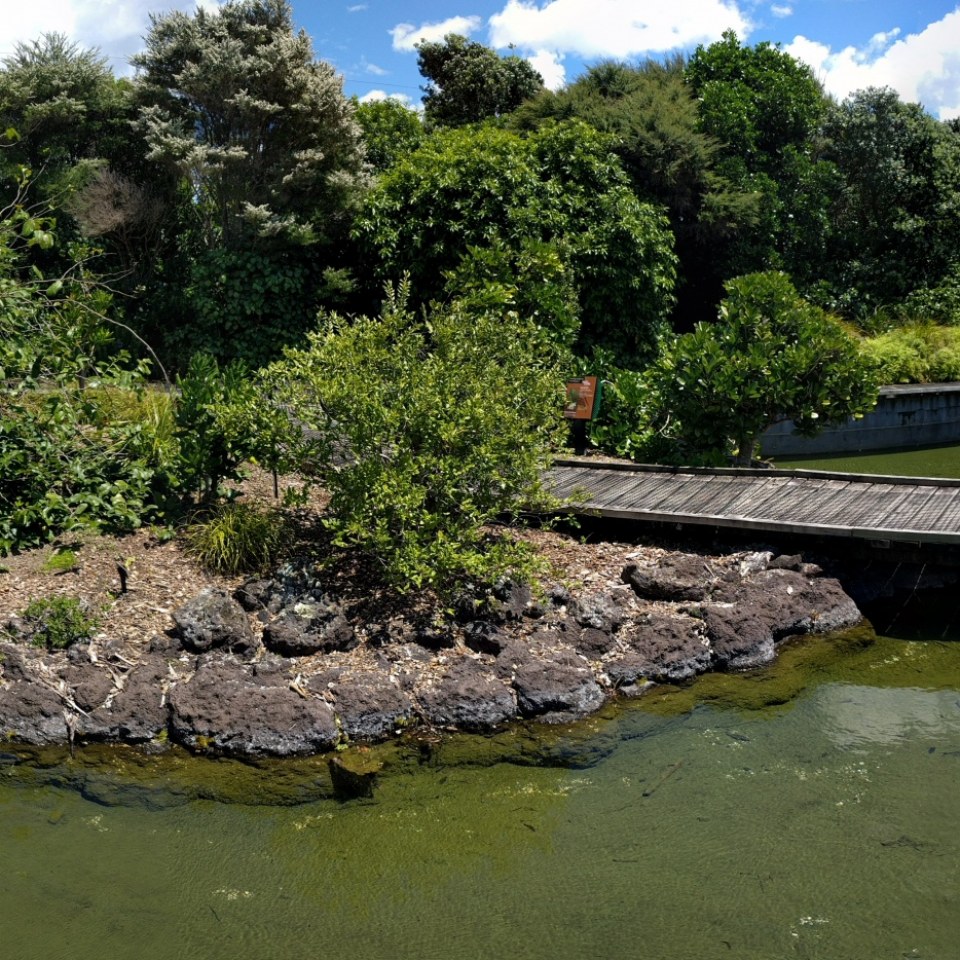 Botanic Gardens, Auckland