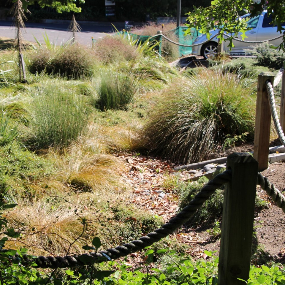 Botanic Gardens, Auckland