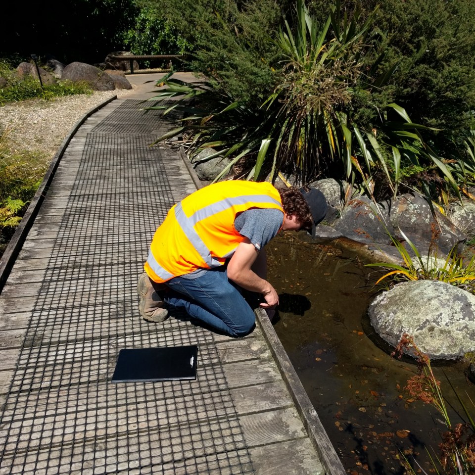 Botanic Gardens, Auckland