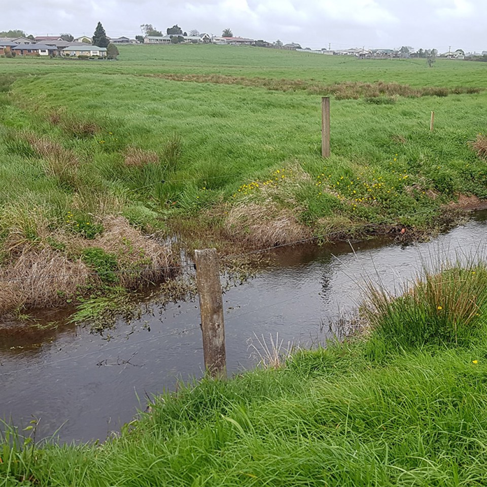 Brymer Heights, Hamilton