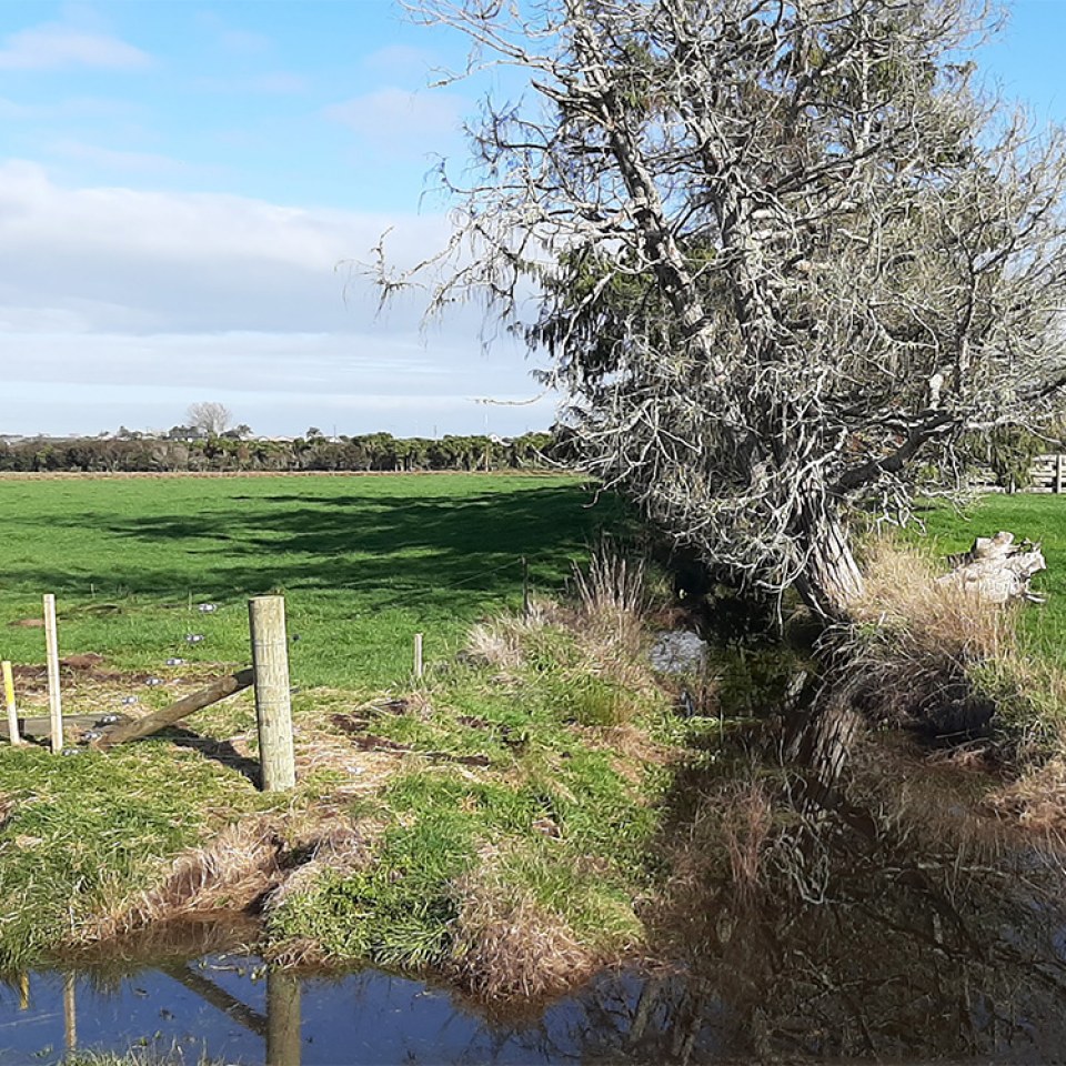 Brymer Heights, Hamilton