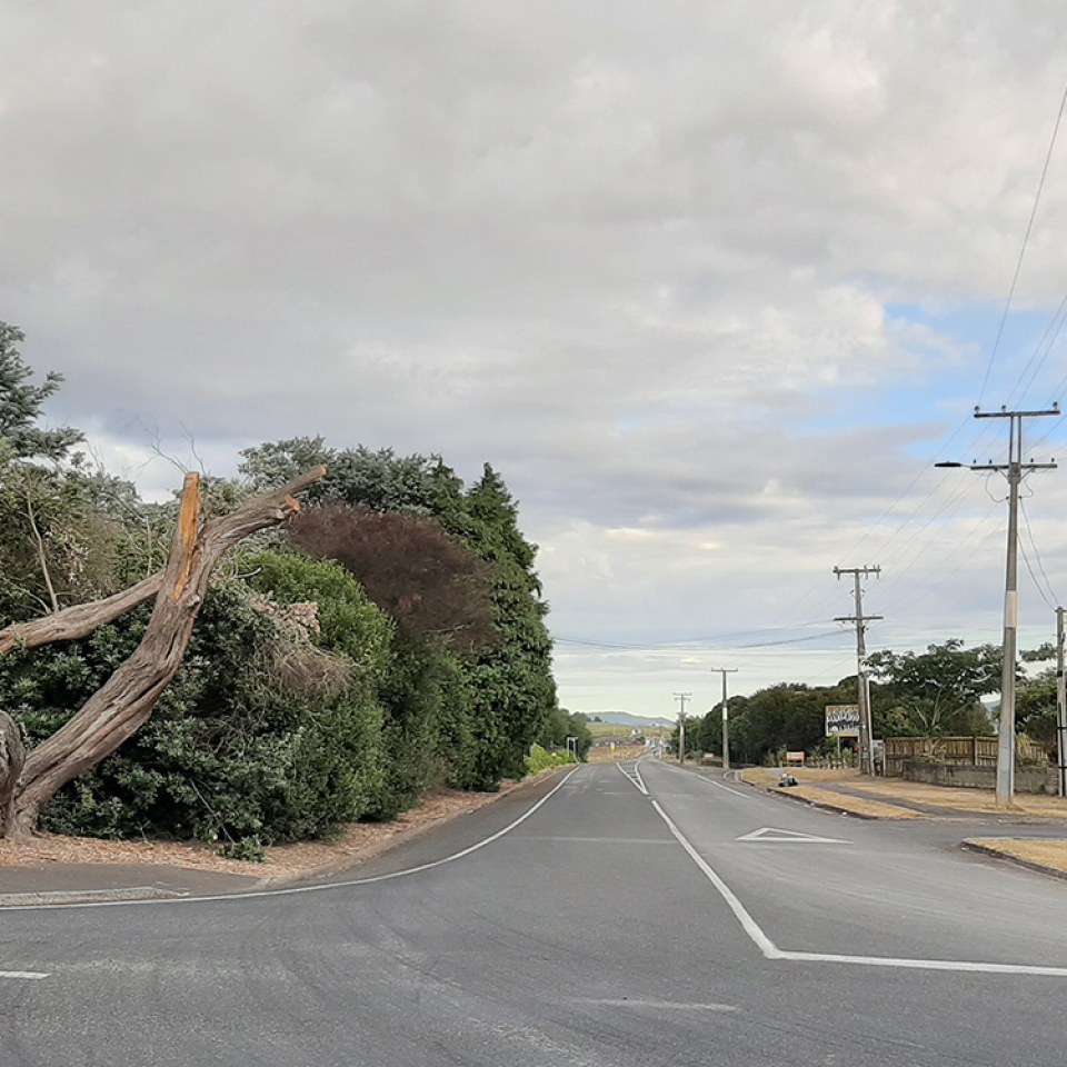 Brymer Heights, Hamilton