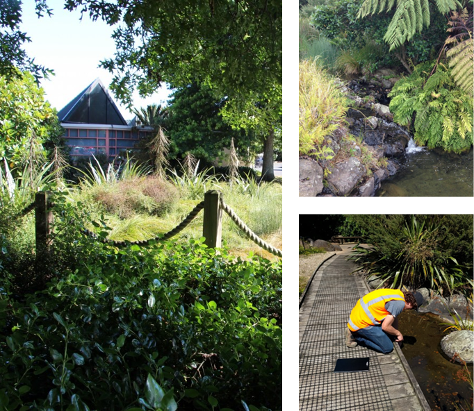 Botanic Gardens, Auckland