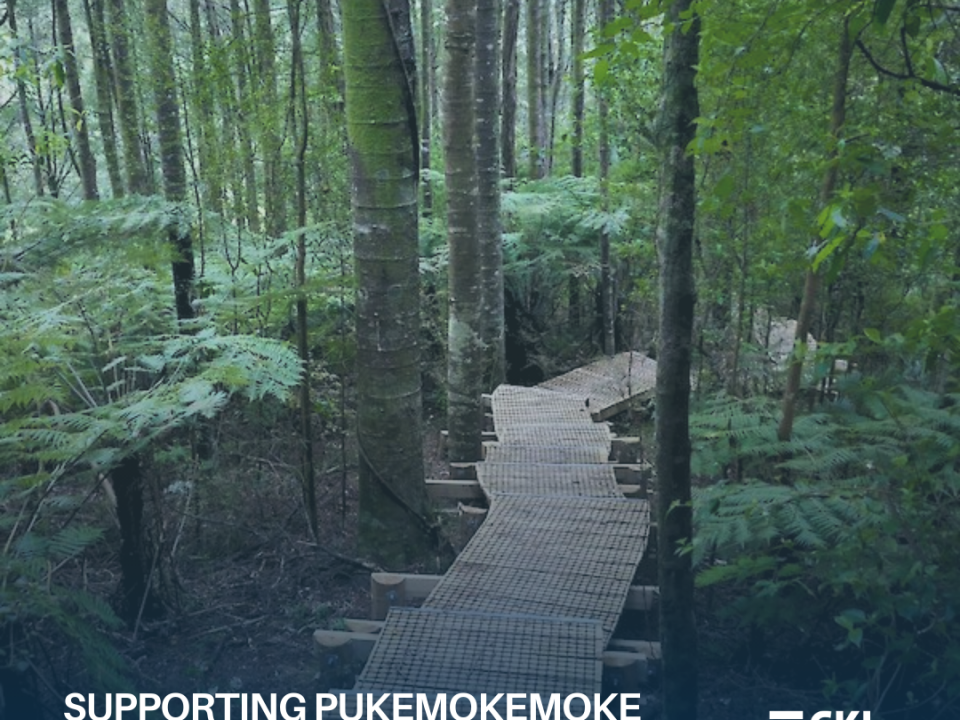 Securing Access to a Waikato Treasure: Supporting Pukemokemoke Bush Reserve