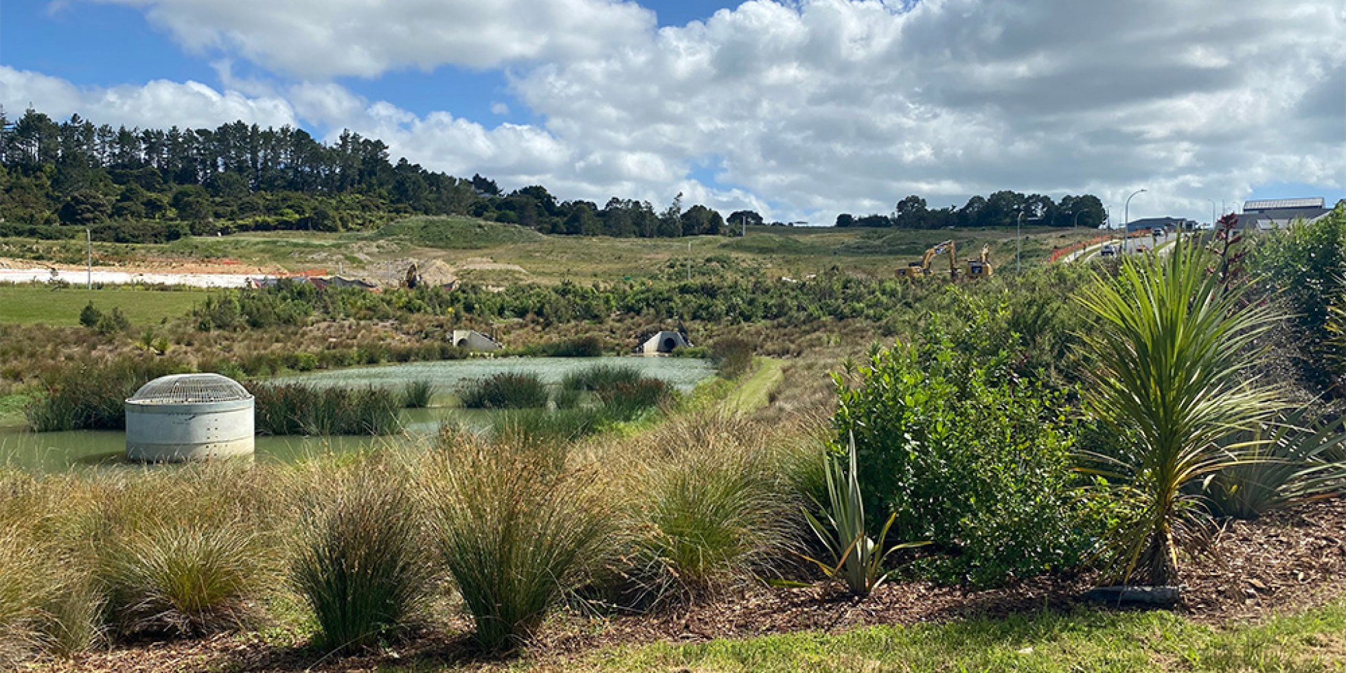 Hall Farms in Orewa