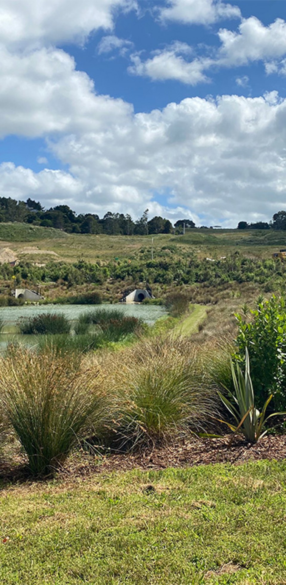 Hall Farms in Orewa