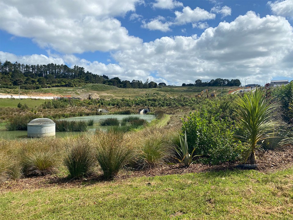 Halls Farm, Orewa