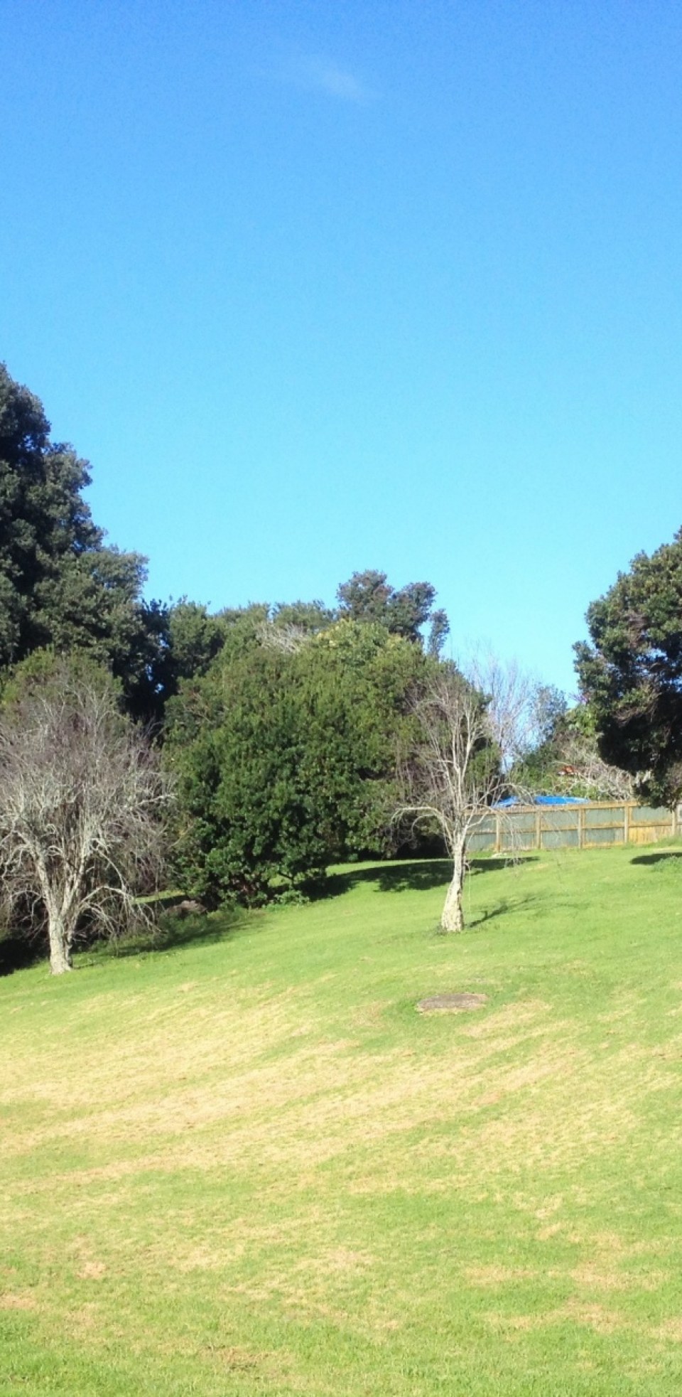 Kainga Ora - Previously Tamaki Regeneration Ltd