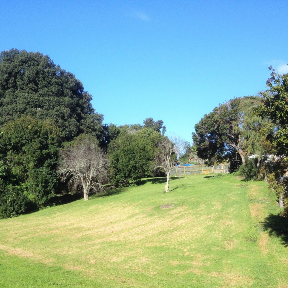 Kainga Ora - Previously Tamaki Regeneration Ltd