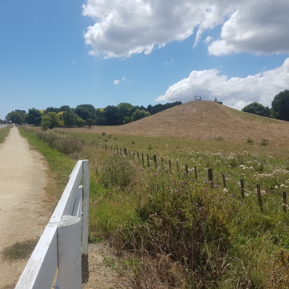 Iona Havelock North