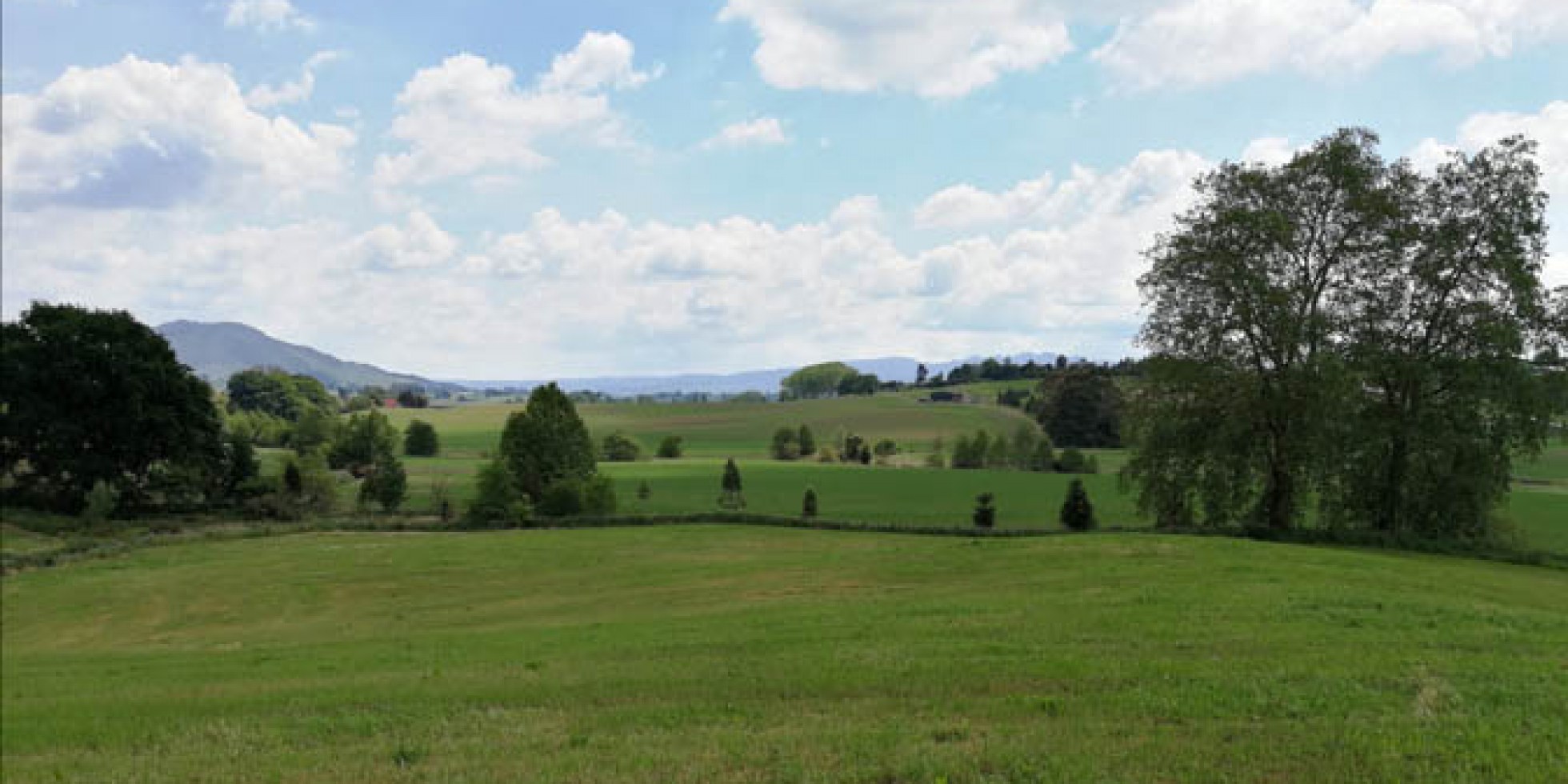 Kihikihi Te Awamutu