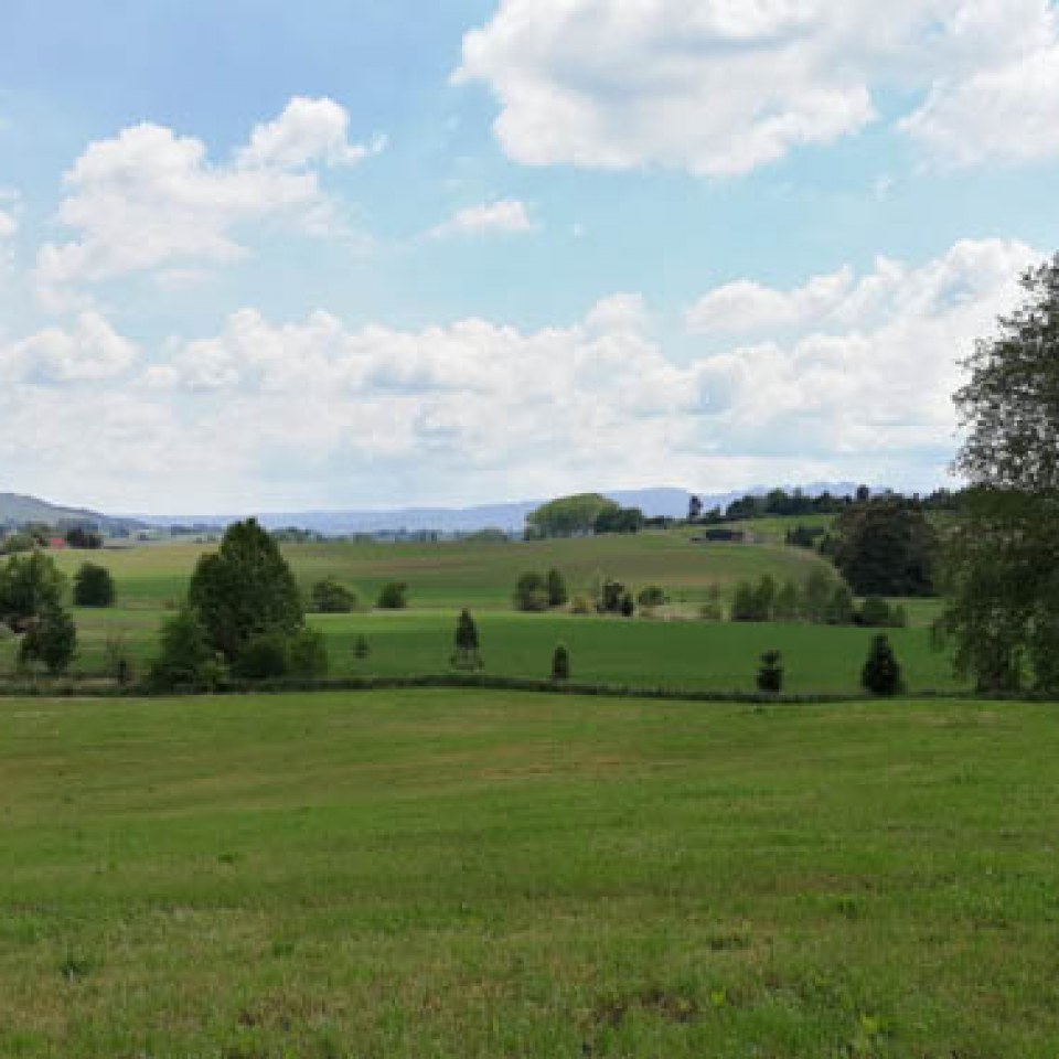 Kihikihi Te Awamutu