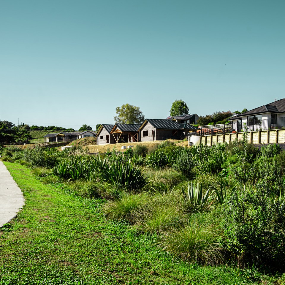 Ohaupo, 43 Lot Rural Lifestyle Development