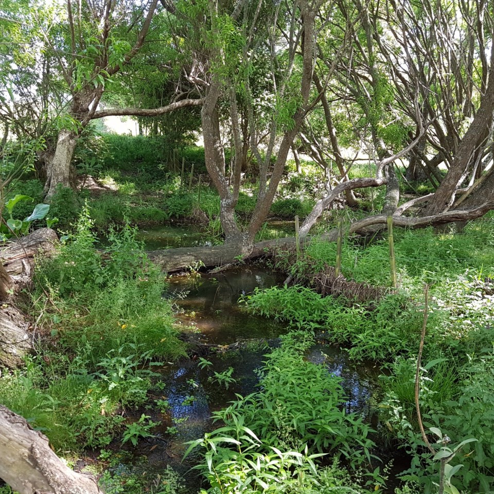 Papakura-Clevedon Road, Auckland