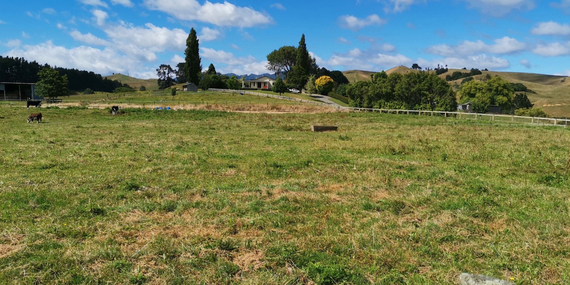 Te Pahu, Waikato