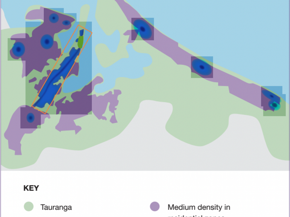 The Transport Risks of Densification in Tauranga