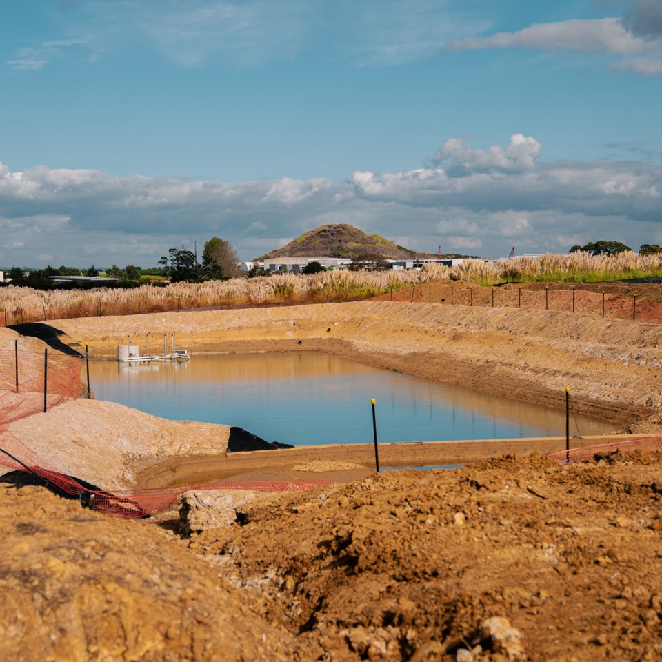 Southern Gateway, Auckland