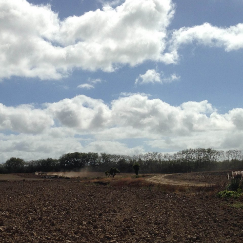 Southern Gateway, Auckland