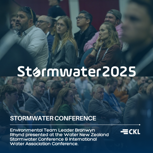 Achieving Water Quality Goals through Nature-Based Design