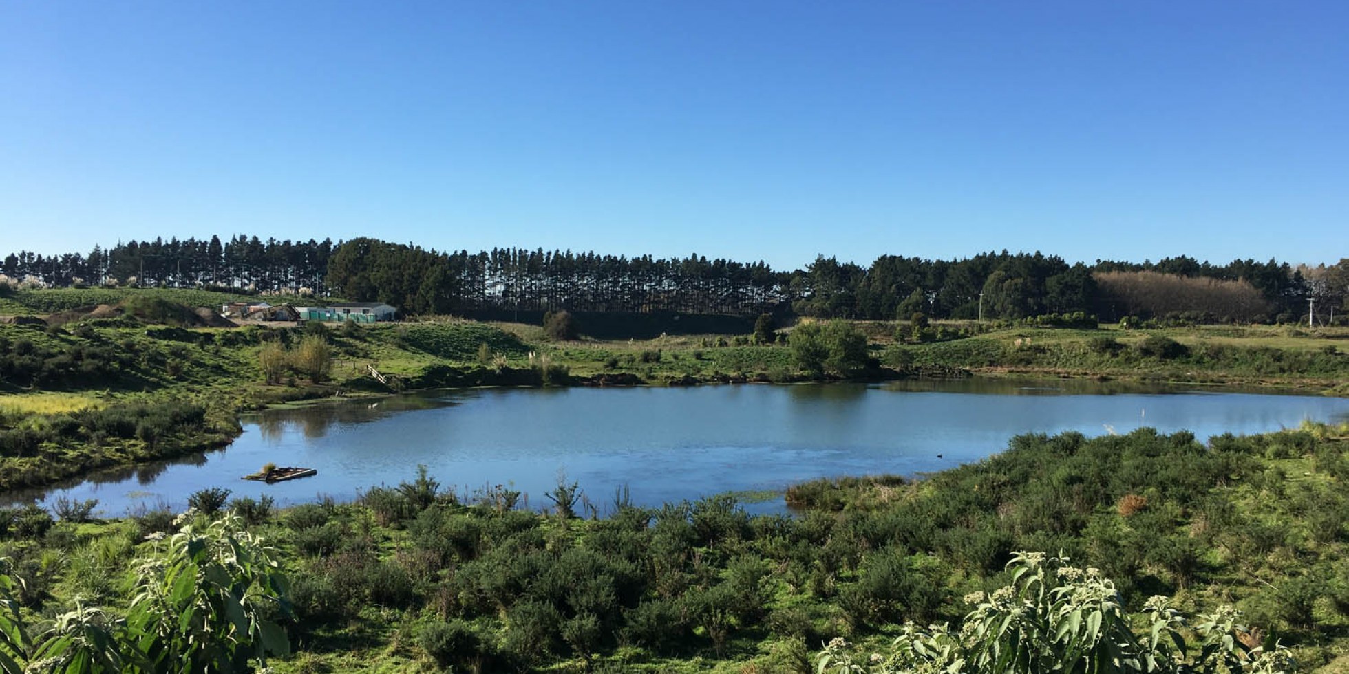 Te Awa Lakes, Hamilton