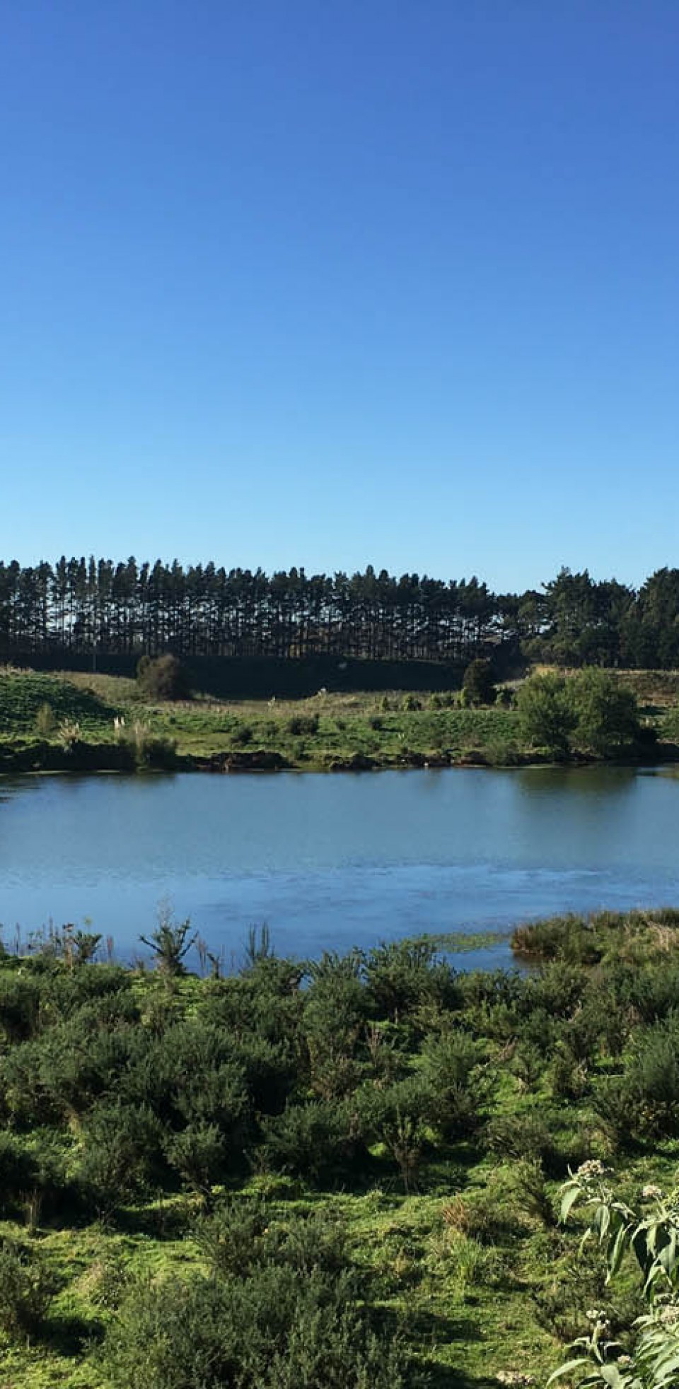 Te Awa Lakes, Hamilton