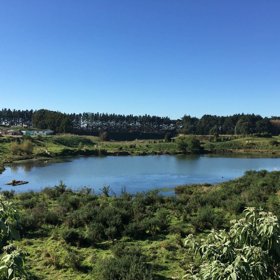 Te Awa Lakes, Hamilton