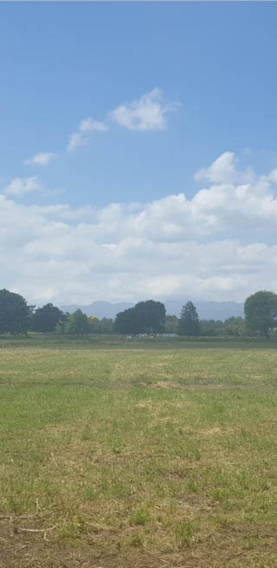 Banks Road Subdivision, Matamata