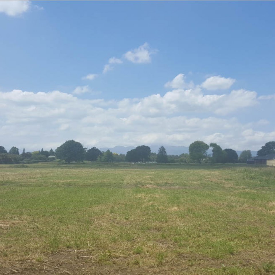Banks Road Subdivision, Matamata