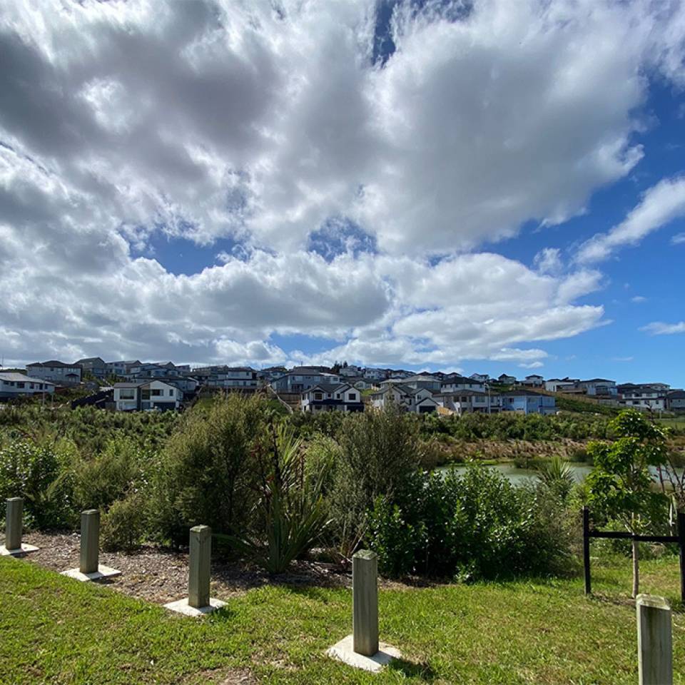 View of Subdivision at Halls Farm, Orewa